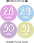 Pregnancy Weekly Belly Growth Stickers - 36 pcs Purple Pink, Matte Finish for Maternity Photo Sessions