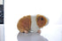 Cute 8 Inch Orange Rabbit Plush Toy - Guinea Pig Stuffed Animal Doll