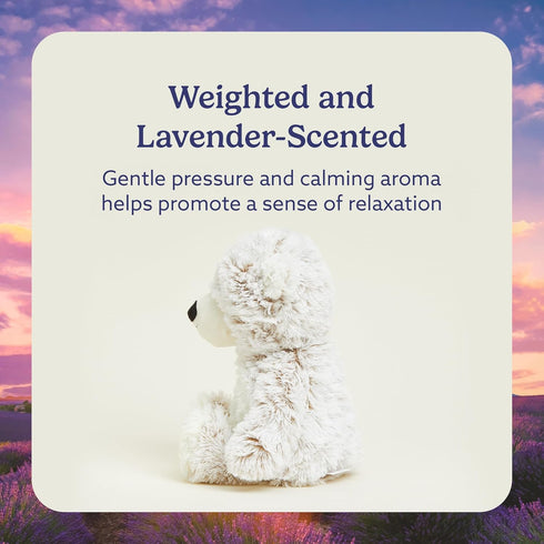 warmies Microwavable & Weighted Stuffed Animals, Marshmallow Brown Bear - Heated Stuffed Animal Plushie for Warmth