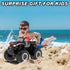 Amphibious Remote Control Car Toys for Boys, 2.4 GHz 1:16 All Terrain Off-Road RC Car, Kids Pool Toys