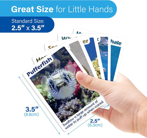 BenBen Go Fish Card Game for Kids - 104 Ocean Theme Memory Matching Cards with Real Photos, Fun Facts