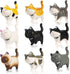 9PCS Realistic Cat Figurines Toy Set, Educational Kitty Figures, Christmas Birthday Gift for Cat Lovers