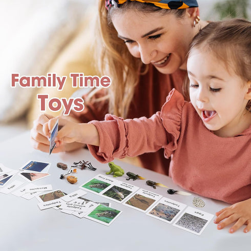 MEROCO Live Tadpole to Frog Life Cycle Toys for Kids, Educational Insect Matching Game