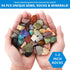 54 8+ PIBEX Rock Collection Starter Kit - Pcs Assorted Gemstones, Crystals, Rocks & Minerals, with Learning Book & ID
