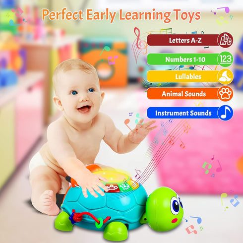 6 12 12 Tummy 8 9 10 Baby Toys to Months Crawling Turtle Musical Infant Toy for Months Old Light Up Time Toys Early