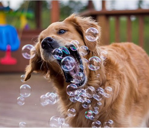 Pet Qwerks Incredibubbles Interactive Pet Toys - Long Lasting Edible Bubbles for Dogs & Cats, Peach Flavor, 20 ML