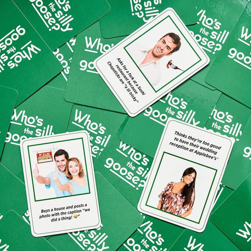 DSS Games Who's The Silly Goose? - A Middle Class Fancy Party Game