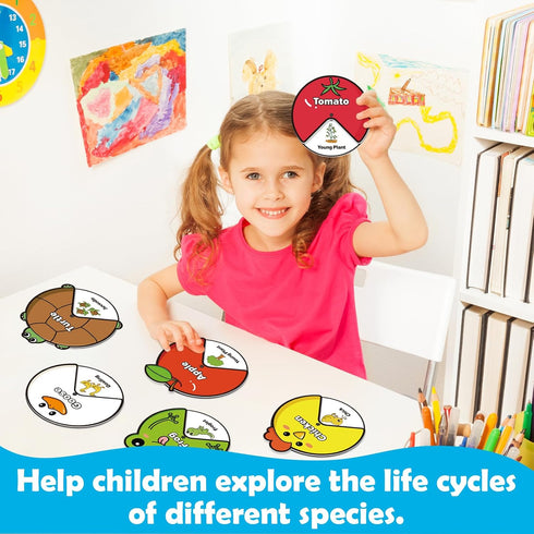 Life Cycle Toys for Kids, Animal Plant Insect Bug Kit, Montessori Learning Activities for Toddlers