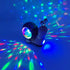 Cute Electric Snail Toy for Toddlers - Musical and Luminous Fun (Brown)