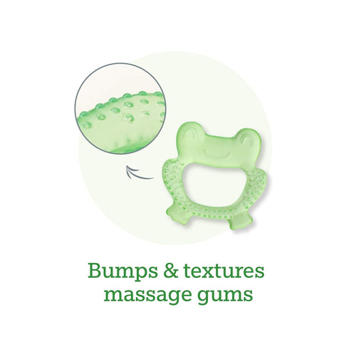 (4 Pack) green sprouts Cool Nature Teether | Soothes Gums & Promotes Healthy Oral Development | Safer Plastic Filled