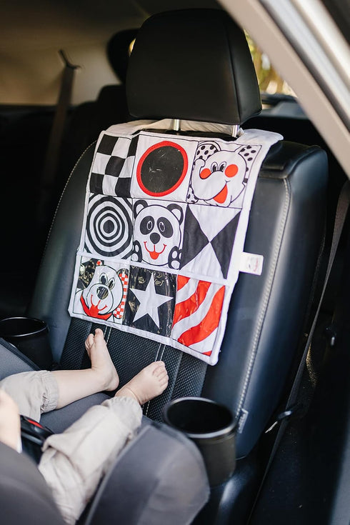 Car Toys for Babies - Infant Car Seat Toy with High Contrast Colors, Reversible Design, Baby Safe Mirror and Storage