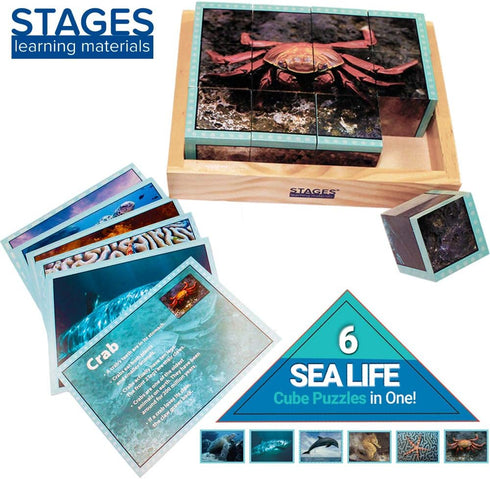 Stages Learning Real Picture Sea Life Wooden Cube, Language Builder Preschool Puzzle (12 Piece)