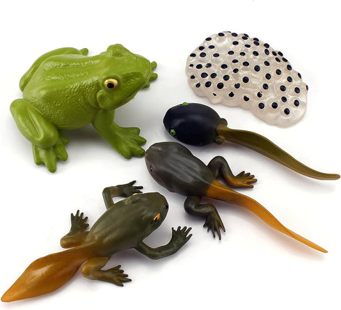 Gemini&Genius Life Cycle of Frog Figurines, Bulk Insect Growth Diary Action Figures, Fun Learning Gifts, Party Favors