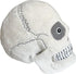 GIANTmicrobes Skull Plush, Anatomical Skull Gift, Halloween Decor, Anatomy Model, Skull Toy