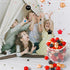 Star Ball Pit Balls - Pack of 100 Plastic Toy Balls for Kids, Perfect for Birthday and Christmas Gifts