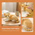 GUDVES 12 Inch Orange Tabby Cat Stuffed Animal Baby Stuffed Animal Cat Plush Toy Shorthair Cat (Orange B)