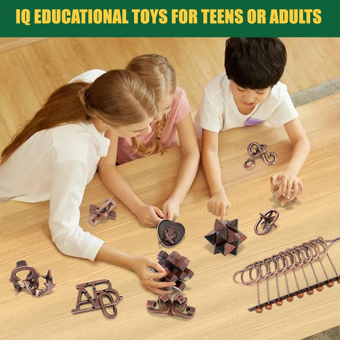 Mytothfy 13 3D Pcs Brain Teaser Puzzles for Adults - Metal Puzzles Puzzle Game Toys for Adults Teens - Wooden Unlock