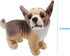Lifelike Chihuahua Stuffed Animal, Animated Plush Puppy Toy, Super Realistic Dogs, Excellent Gifts for Kids Birthday
