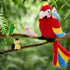 18'' Mommy 4 Tezituor Macaw Parrot Stuffed Animals with Babies, Stuffed Parrot Plush with Baby Parrots, Realistic