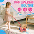 Skymetis 10 3 Toddler Toy Pcs Interactive Retriever Robot Dog Toy - Walking & Stuffed Puppy with Stethoscope for Vet