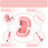 Set 3-5 3 4 Playset 3 4 5 6 7 8 Dentist Play for Girls - Doctor Kit Toy Gifts for Year Old Toddler Girls, Pretend Play