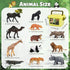FRUSE Safari Animals Figures Toys, 12PCS Wild Zoo Animals Figurines, Realistic African Jungle Animals Playset for Kids