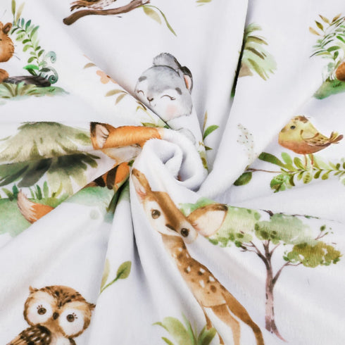 BORITAR Baby Blanket, Super Soft Double Layer Minky, Woodland Animal Design, 30 x 40 Inch