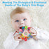 TOHIBEE 0-6 6-12 0 3 6 9 12 18 1 2 Baby Montessori Sensory Toys for Months, Baby Teether Teething Toys for Babies