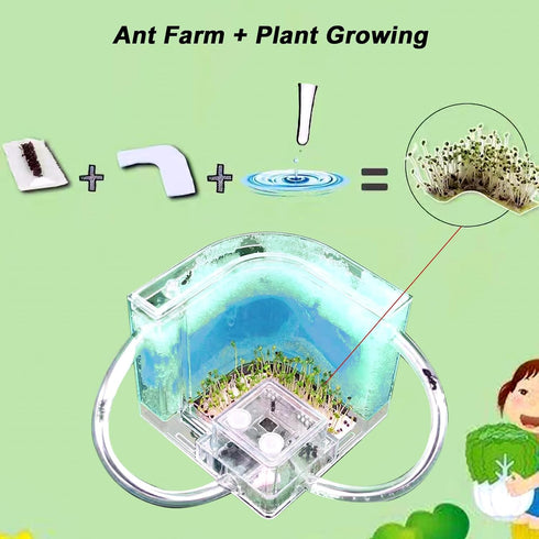 Ant Farm Gel Ant Castle Colony Ecosystem Terrarium Kit for Kids