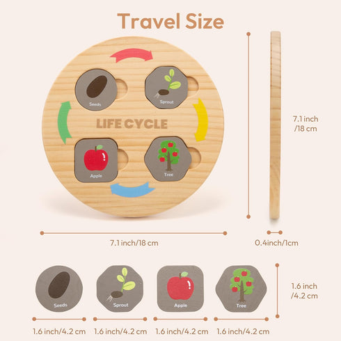 Life Cycle Toys for Kids, 12 Themes Montessori Preschool Science Center Materials, Educational Toys for Age 3-6