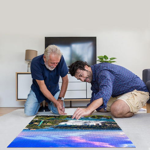 Jigsaw Puzzles for Adults - 1000 Piece Niagara Falls Puzzle