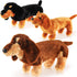 ZJoey Dachshund 3 Pcs Dog Plush Stuffed Animal Plush Sausage Dog Plush Soft