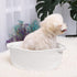 ABenkle Cute Small Woven Basket with Handles, 12"x8"x5" Rope Storage Basket for Cat and Dog Toys, White