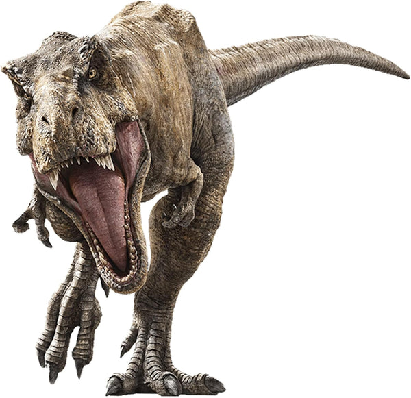 Kiddale Raptor Dinosaur Wall Stickers - Peel and Stick Removable Decals for Kids' Bedroom and Living Room