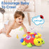Holaxander 6-12 7 8 9 10 11 1-2 Baby Bilingual Musical Ladybug Crawling Toys,Baby Toys Months with Light-up Music