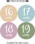 Pregnancy Weekly Belly Growth Stickers - 36 pcs Purple Pink, Matte Finish for Maternity Photo Sessions