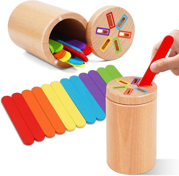 Montessori Toys for Toddler, Fine Motor Skills Toys Wooden Color Sorting Stacking