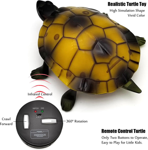 Remote-Controlled Tortoise Toy Car for Kids - Brown
