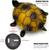 Remote-Controlled Tortoise Toy Car for Kids - Brown