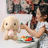 HOUPU 12.5 Inch Soft Toy - Sitting Lop Eared Rabbit with Carrot, Realistic Pink Plush Bunny