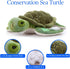 10 inches The Petting Zoo, Conservation Sea Turtle Stuffed Animal, Gifts for Kids, Baby Sea Turtle Plush Toy