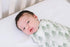 Evergreen Large Premium Knit Baby Swaddle Blanket by Copper Pearl