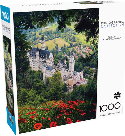 Buffalo Games - Florian Olbrechts - Schloss Neuschwanstein - 1000 Piece Jigsaw Puzzle for Adults