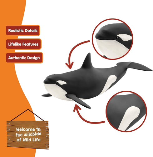 8 3+ 14807 schleich Wild Life - Killer Whale Toy - Realistic Orca Figurine - Ocean Wildlife Animal Figure