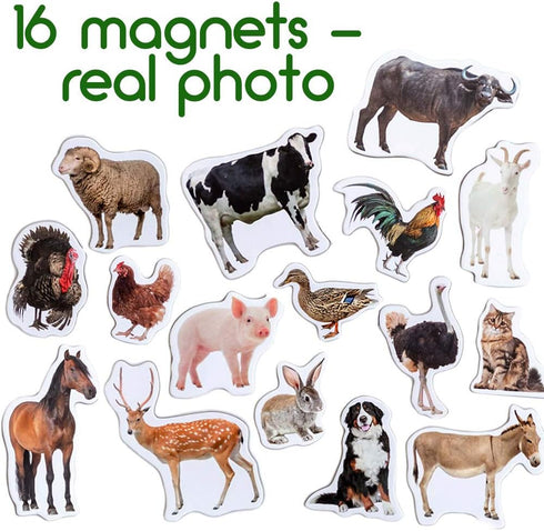 Fridge Magnets for Toddlers - Magdum, 16 Farm Animal Magnets for Refrigerator, Educational Gift for Kids