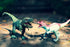13" Tyrannosaurus Rex Dinosaur Toy - Realistic T-Rex Action Figure Model for Kids Boys Girls 3+