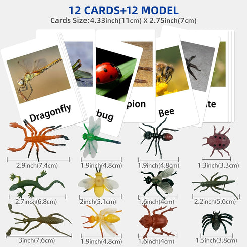 MEROCO Montessori Animal Match, Insect Animal Figurines with Matching Cards for Preschool Learning Toy NEWT008
