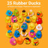Assorted Mini Rubber Ducks in Bulk, 25 Pcs for Kids Baby Bath Shower Toys, Birthday Gifts