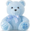 10 Inch Bear Stuffed Animal, First Bear Baby Shower Plush Toy for Wedding Birthday Gift (Blue)