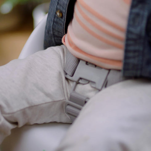 3-Point Ingenuity: ity by Ingenuity Simplicity Seat Easy-Clean Baby Booster Feeding Chair, Harness, Washable Removable